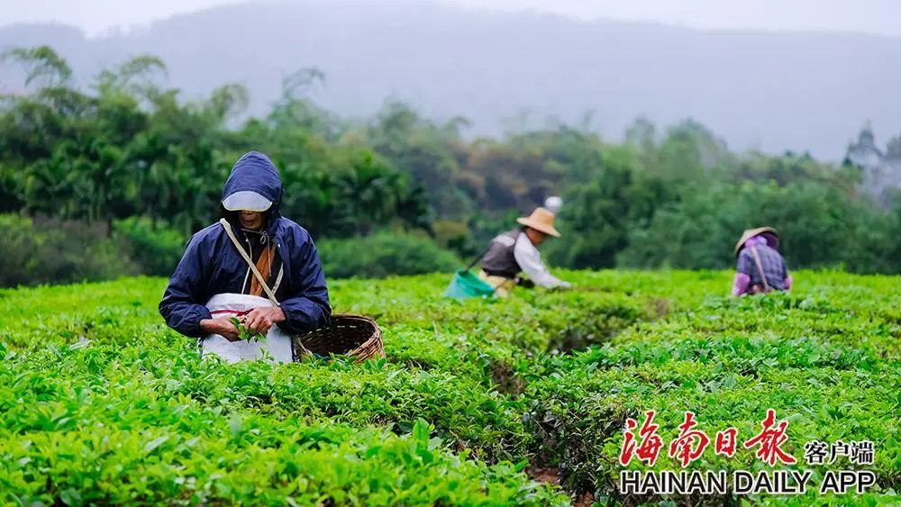 新时代 新征程1.jpg 新时代 新征程1.jpg